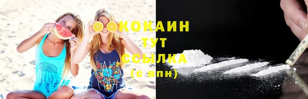 spice Алзамай