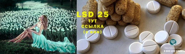 ECSTASY Абаза